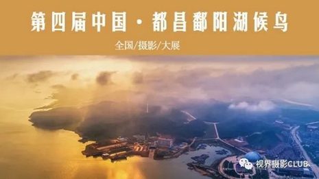 征稿 | 第四届中国·都昌鄱阳湖候鸟全国摄影大展